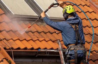 Démoussage et hydrofuge de toiture à Lançon
